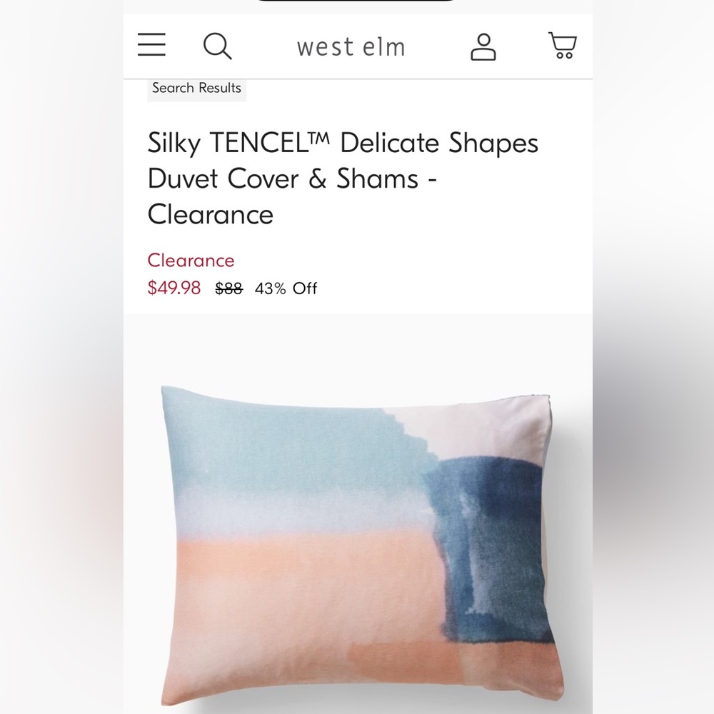 NWT West Elm King 2 Pillow Shams